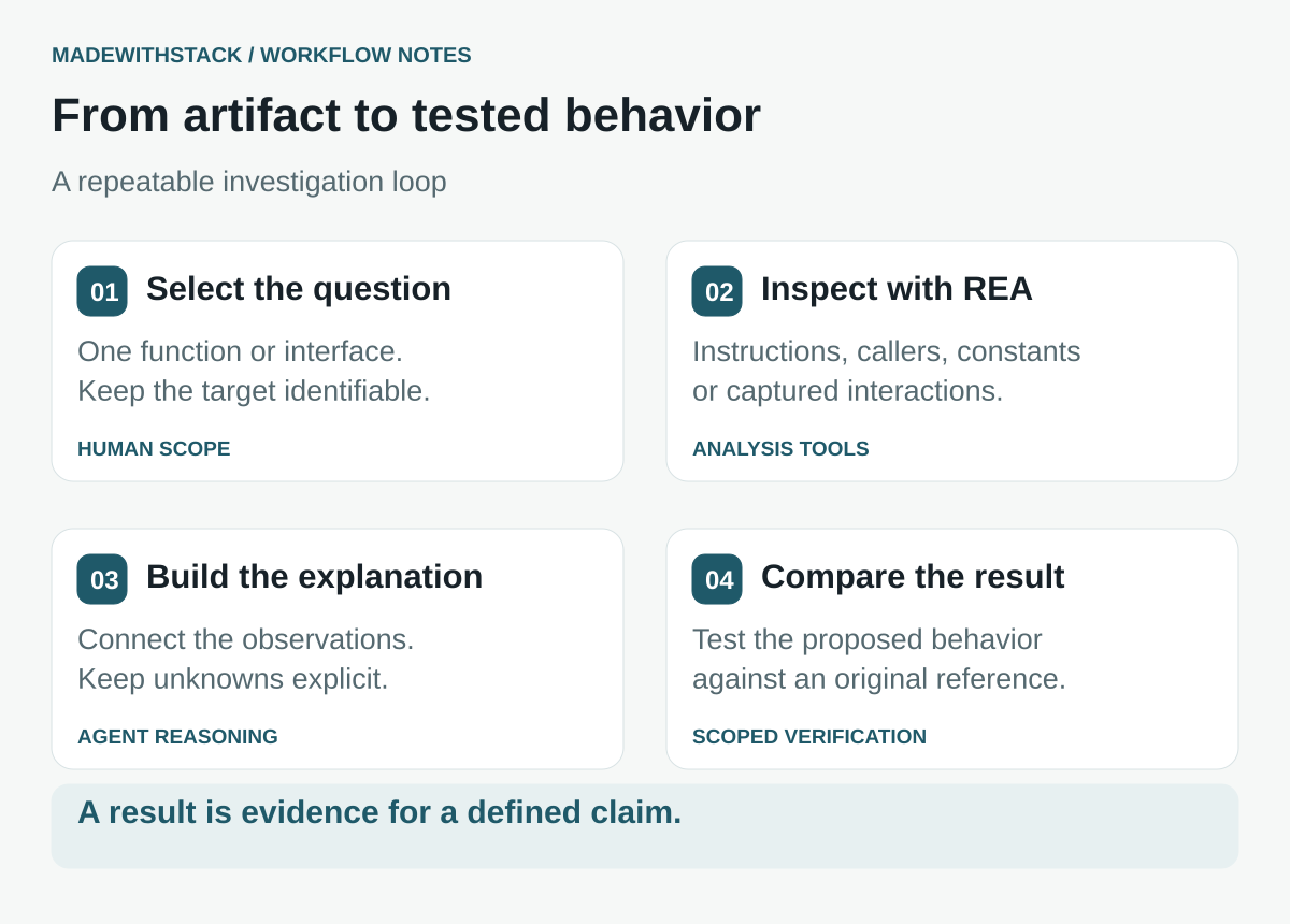 Four stages of an REA investigation: select one question, inspect the artifact, build an explanation, and compare behavior against a reference.